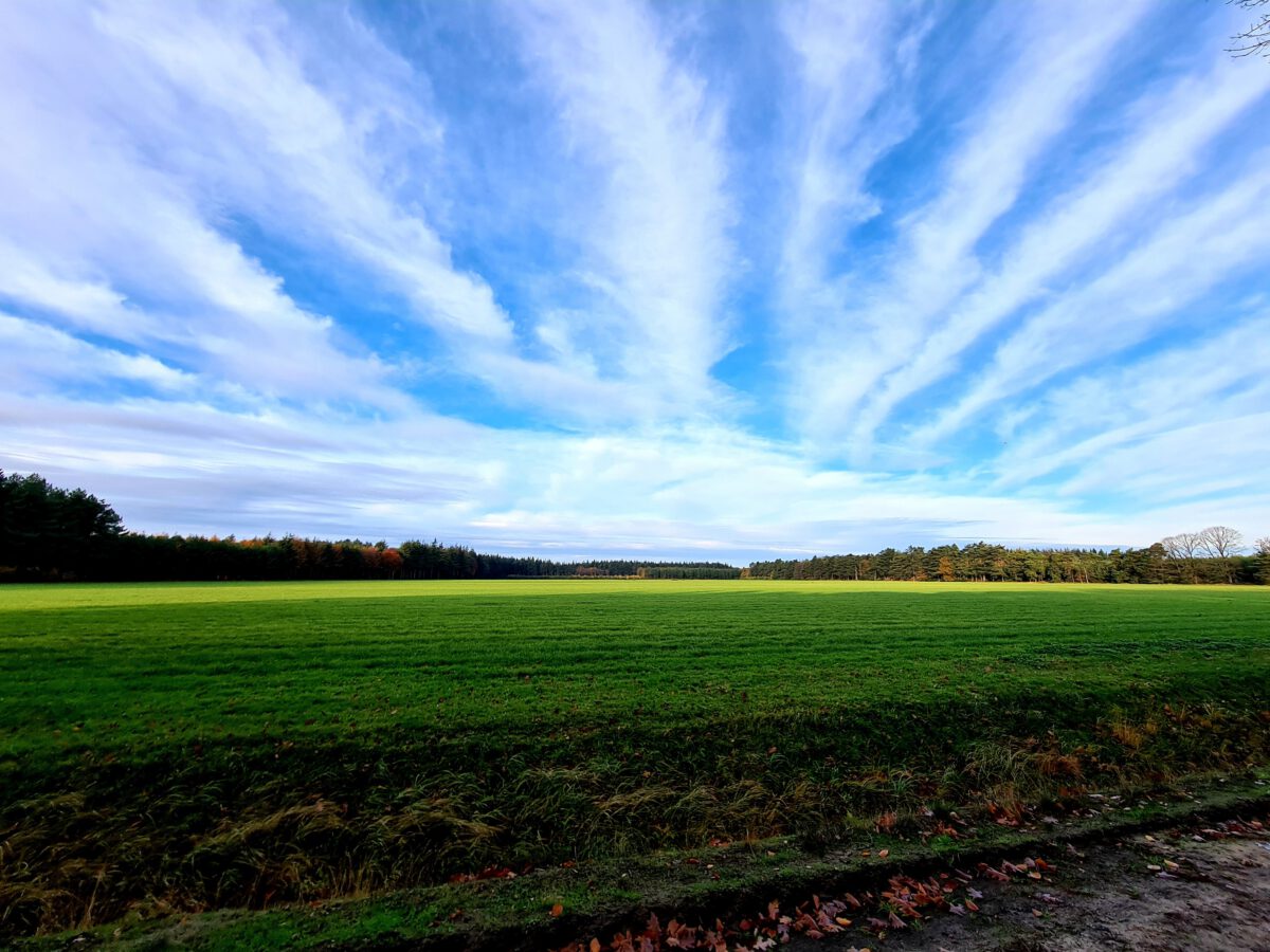 Bouwen aan vertrouwen blauwe-lucht-groen-gras
