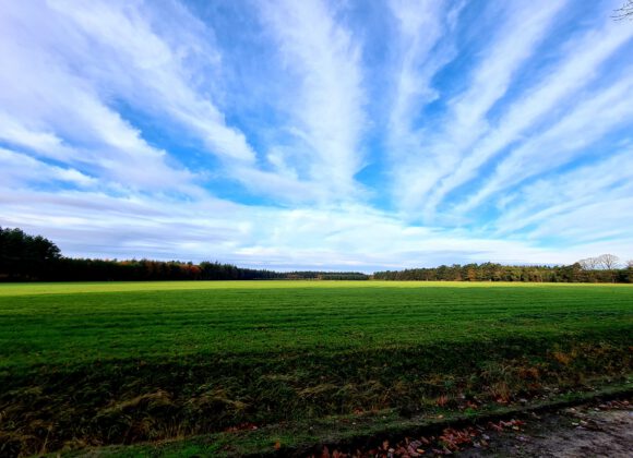blauwe-lucht-groen-gras