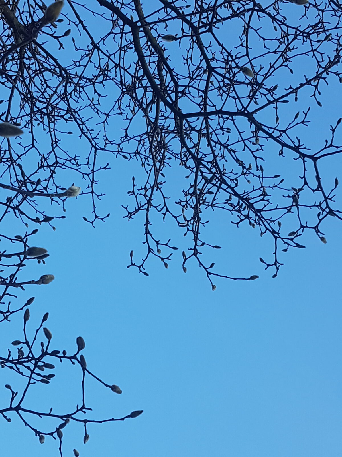 Vertrouw nou maar op je intuïtie! 2018-02-08 16.38.04