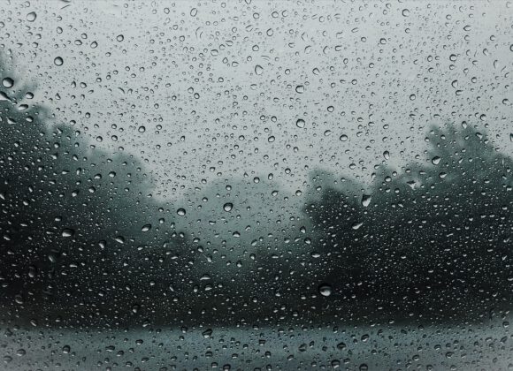 Photo by Joy Stamp on Unsplash