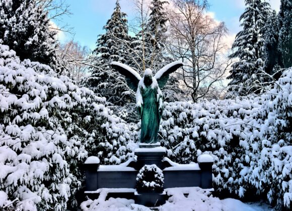 Photo by Marek Studzinski on Unsplash